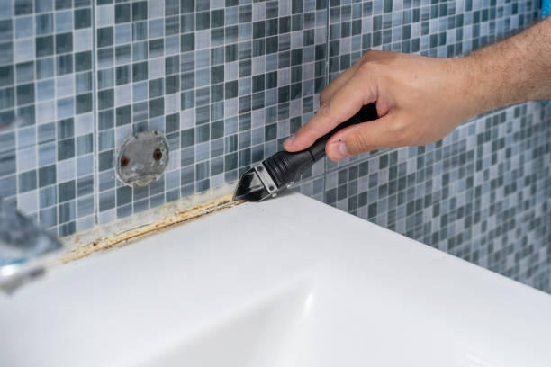 Professional Mold Removal in Ferndale, WA