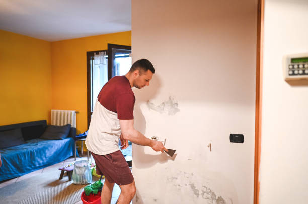 Home Mold Removal in Ferndale, WA